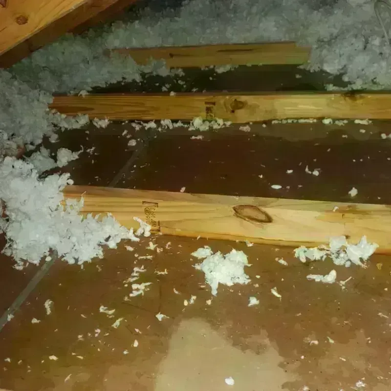 Attic Water Damage in Warm Springs, VA